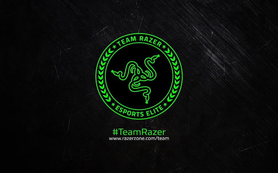 Razer logo, Razer HD wallpaper