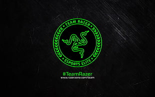 Razer logo, Razer