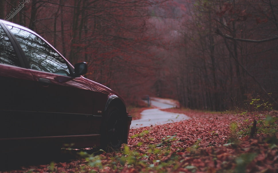 red vehicle, BMW, fall, trees, road HD wallpaper
