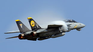 gray jet plane, aircraft, jet fighter, military, F-14 Tomcat