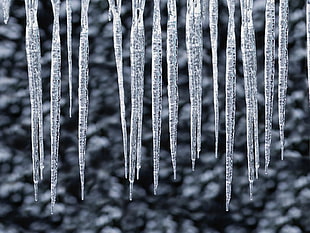 snow spikes photo HD wallpaper