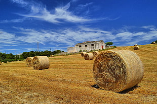 landscape image of field of hays HD wallpaper