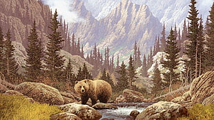 bear near river HD wallpaper