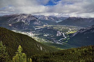 gray mountain covered with trees, banff national park