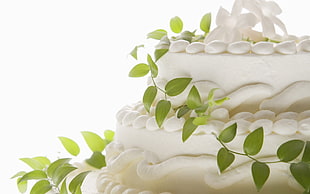 green vine plant on white cake HD wallpaper