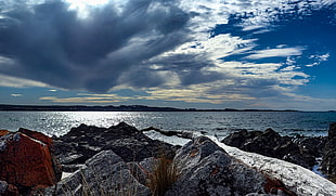 landscape photography of boulder near sea shore, tasmania HD wallpaper