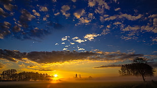 brown leafed tree, sky, sunlight, clouds, mist