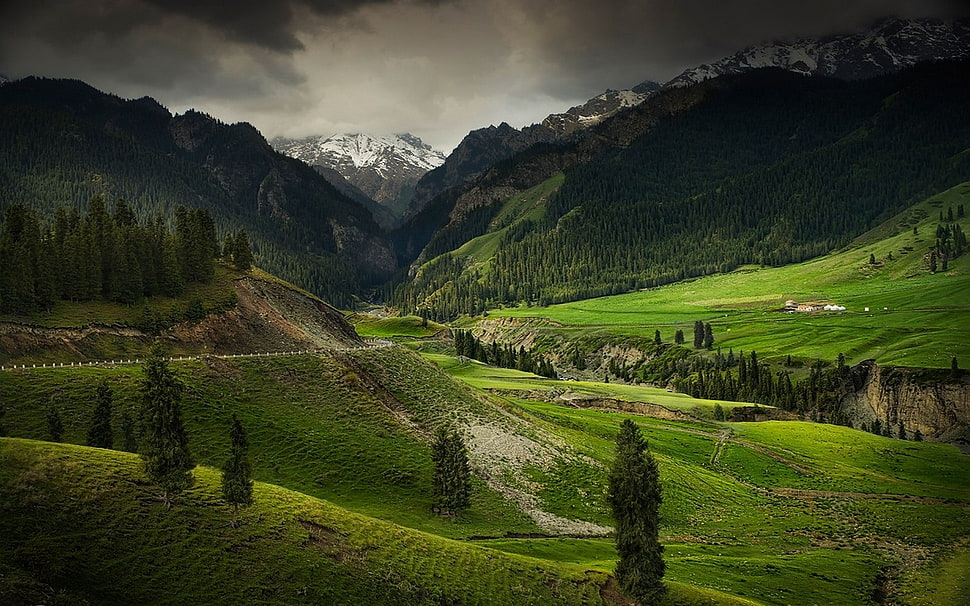 green grass field, mountains, valley, nature, landscape HD wallpaper