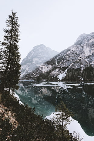 trees, body of water, and mountain, nature, water, snow, mountains