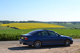blue sedan, BMW, E 39, BMW M5 E39 HD wallpaper