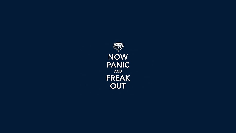 Now Panic and Freak Out text on blue background, quote HD wallpaper