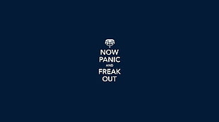 Now Panic and Freak Out text on blue background, quote HD wallpaper
