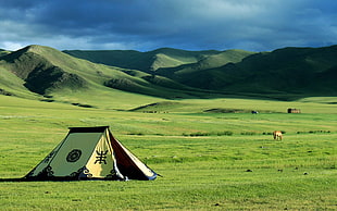 yellow and black dome tent, nature, landscape, Mongolia, tent