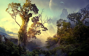 forest, landscape, fantasy art, digital art HD wallpaper