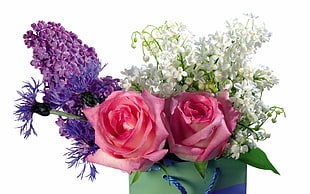 pink Roses, white, and purple flowers arrangement HD wallpaper
