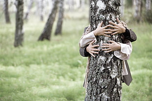 two people hugging tree trunk during daytime