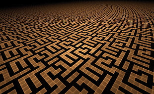 black and white area rug, mazes, texture