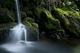 waterfalls with green moss HD wallpaper
