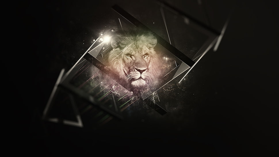 lion digital art illustration HD wallpaper