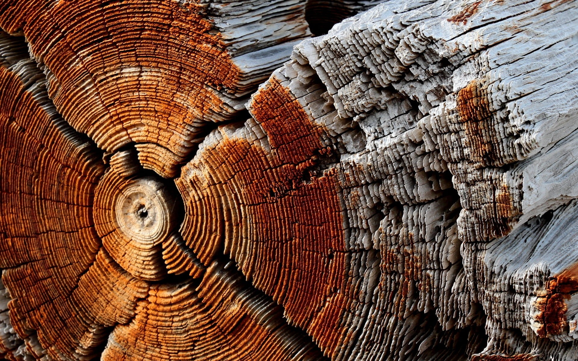 Wood Texture Background Images Hd Nature Images - IMAGESEE