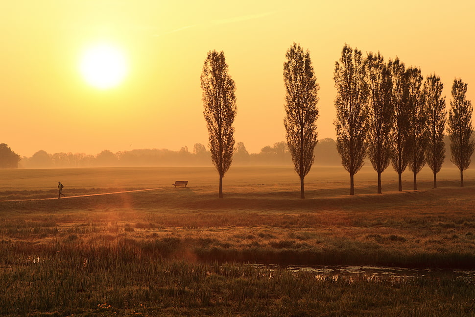 man walking on grass field under orange sunset HD wallpaper