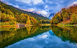 body of water between trees, lake, nature, forest, landscape