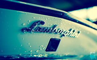 Lamborghini logo