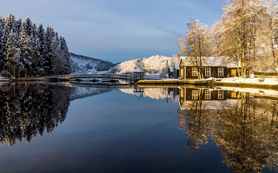 brown and white concrete building, nature, water, reflection, trees HD wallpaper