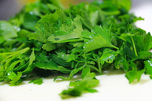 parsley vegetable, Parsley, Herbs, Vitamins HD wallpaper
