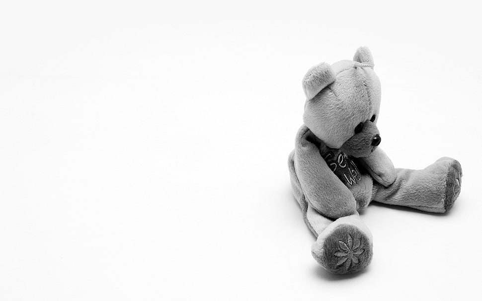 gray bear plush toy sitting on white surface HD wallpaper