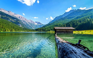 clear green water and brown cabin during daytime