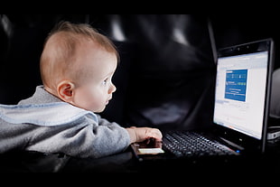 baby using a laptop photo HD wallpaper
