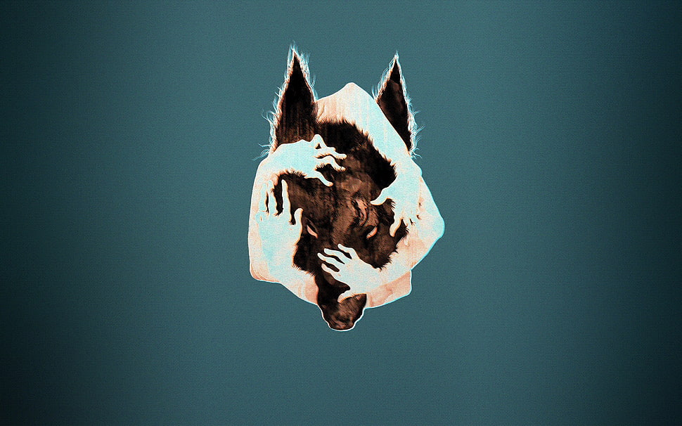 wolf sticker HD wallpaper