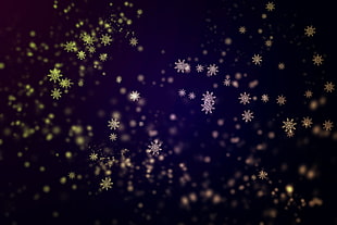 white snowflakes HD wallpaper