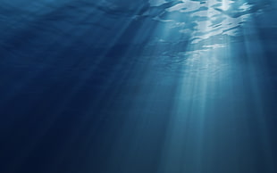 sunlight through body of water HD wallpaper