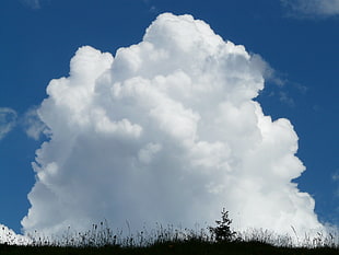 white clouds during daytime HD wallpaper