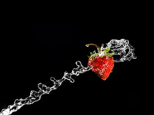 photography of red Strawberry HD wallpaper