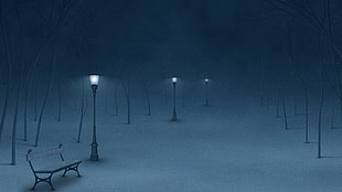 lighted light post in park covered with snow, winter, street light, bench, mist