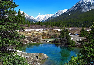 photo of lake surrounded by trees and grasses