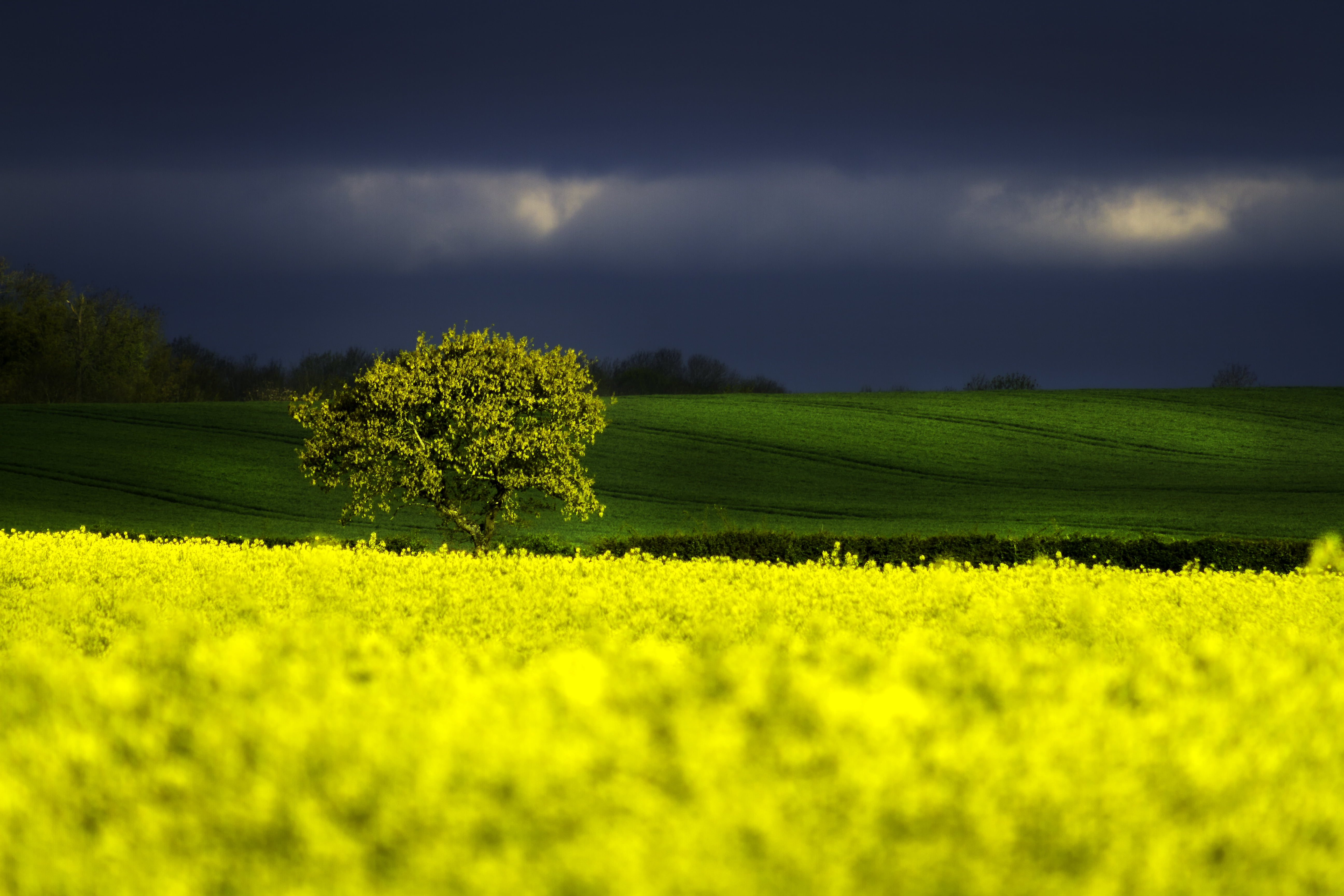 nature, sky, clouds, cloudy