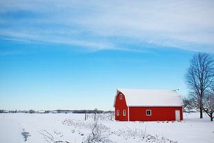 barn beside tree during winter
