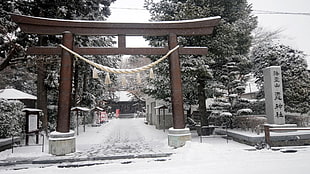 brown shrine, winter, shrine, Japan, snow