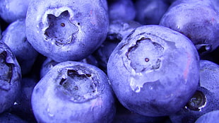 blueberries lot