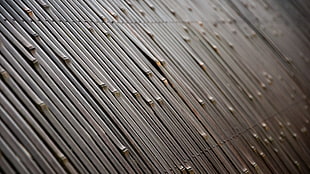 close up photo of bamboo frae