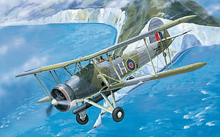 brown and gray airplane illustration, biplane, World War II, airplane, aircraft