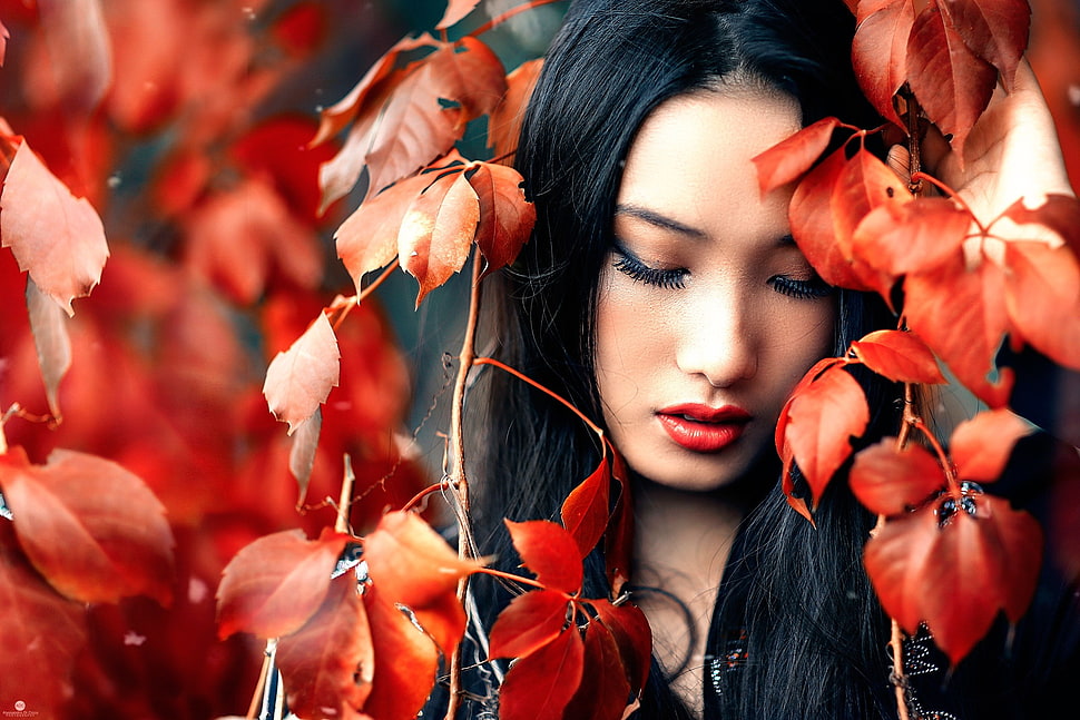 woman under red leaf plant closeup photography HD wallpaper