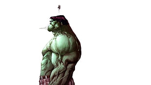 photo of Marvel Incredible Hulk illustration HD wallpaper
