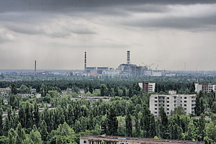 aerial short of trees and buildings, ruin, landscape, Pripyat, Chernobyl