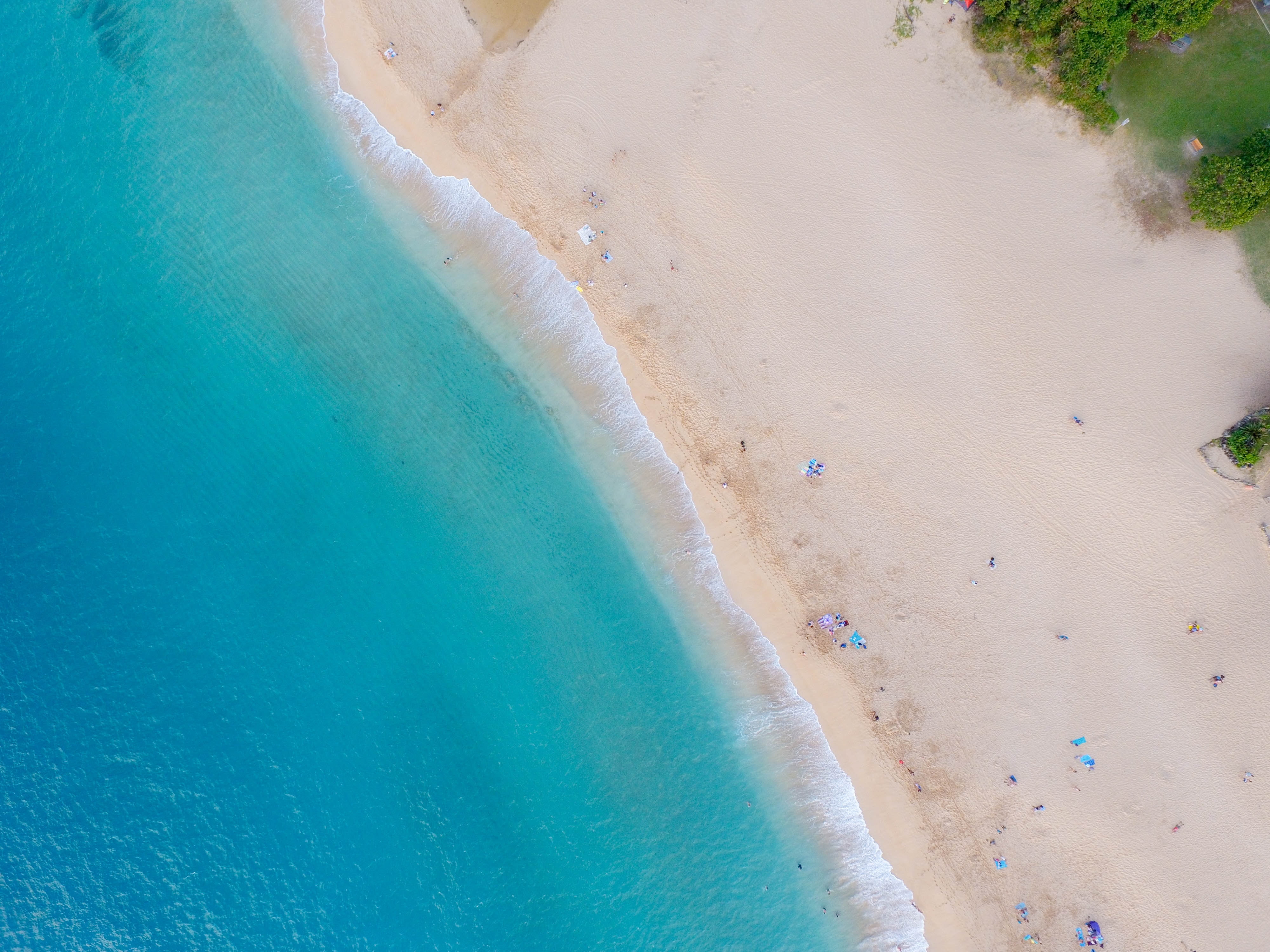 beach digital wallpaper, nature, water, beach, people