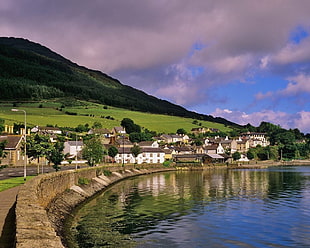 houses near body of water during daytime HD wallpaper